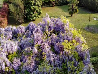 Casa de vacaciones Pastrengo Grabación al aire libre 8