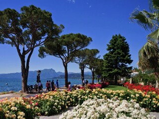 Holiday house Pastrengo Environment 24