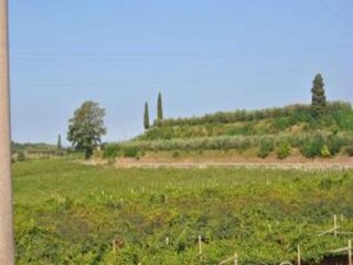 Vakantiehuis Pastrengo Omgeving 24