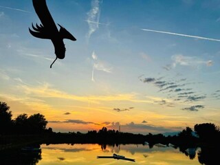 Vakantiehuis Pastrengo Omgeving 24