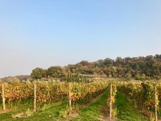 Casa per le vacanze Pastrengo Ambiente 23