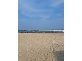 Strand in Damp