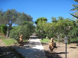 Garten der Finca Oase in Son Macia