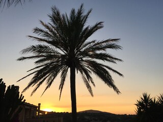 Appartamento per vacanze Son Macià Ambiente 26