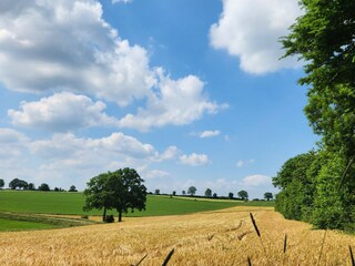 Freier Blick hinterm Haus