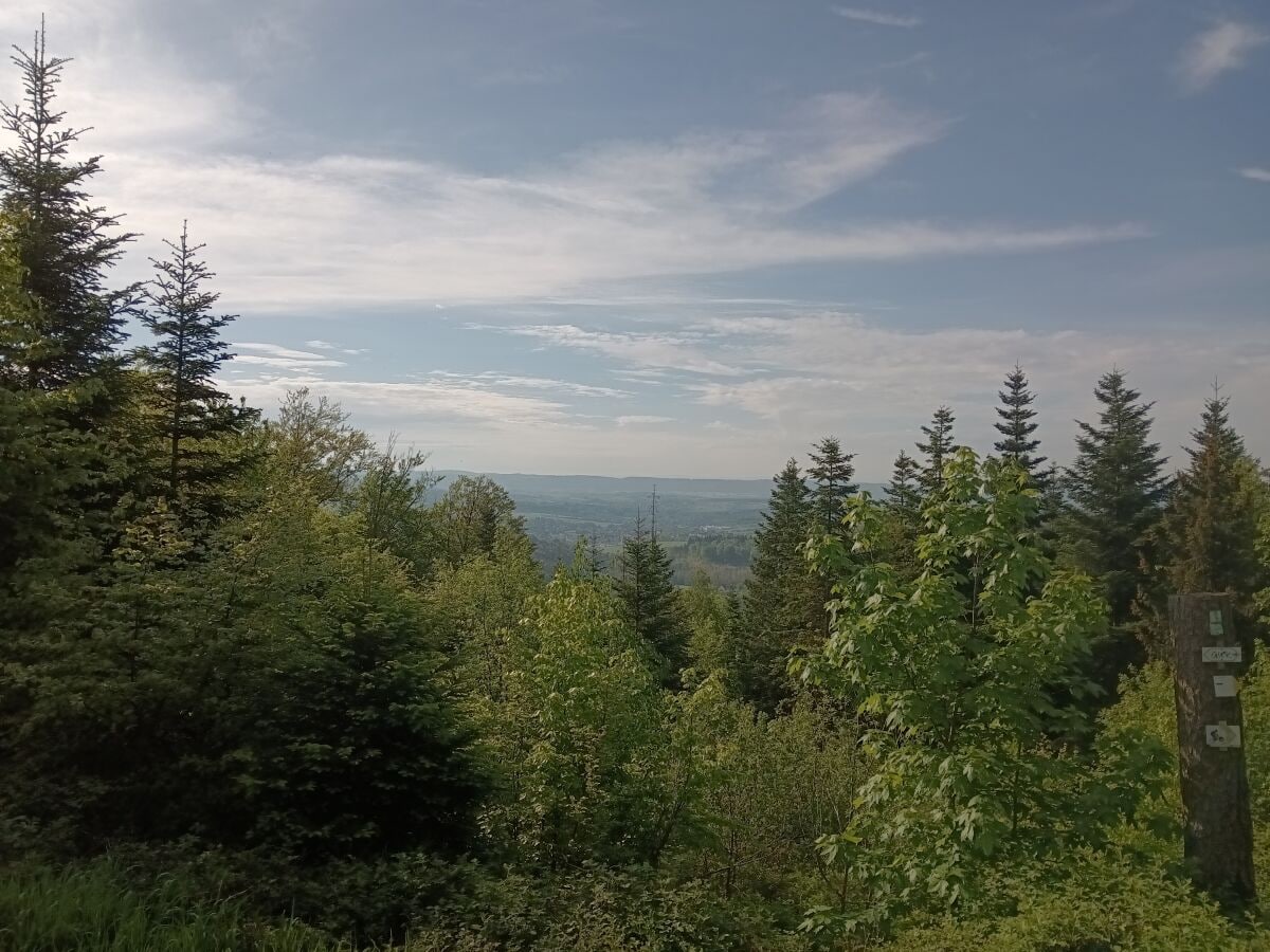 Wandern im Schwäbischen Wald