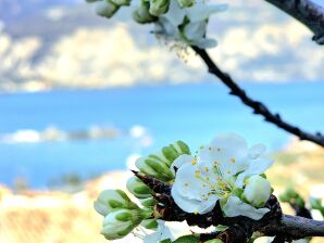 Holiday apartment Casa antico borgo ter