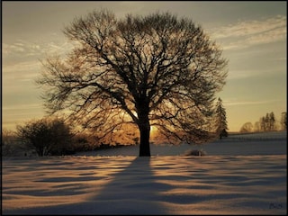 Chalet Geel Umgebung 19