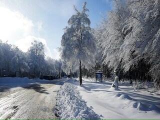 Vakantiehuis Hellenthal Omgeving 22
