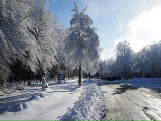 Vakantiehuis Hellenthal Omgeving 19
