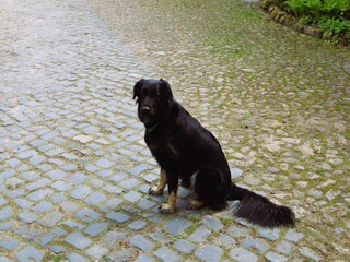 Apartment Bommelsen  39