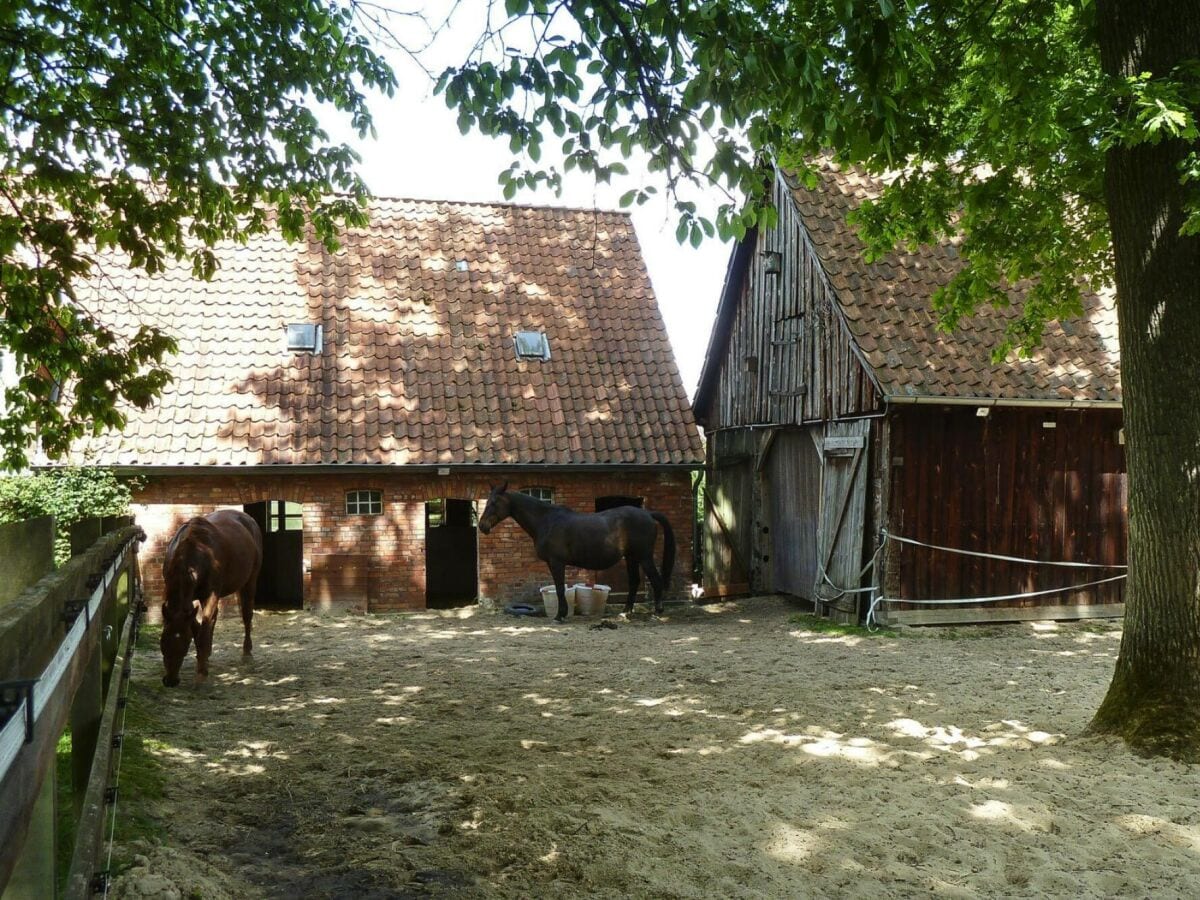 Apartment Bommelsen Außenaufnahme 7