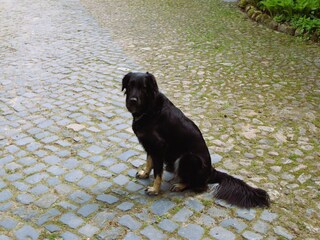 Appartamento Bommelsen  39