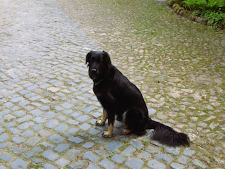 Appartement Bommelsen  39