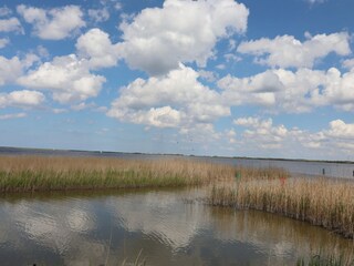 Casa de vacaciones Oostmahorn Entorno 36