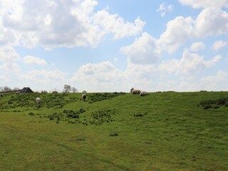 Vakantiehuis Oostmahorn Omgeving 24