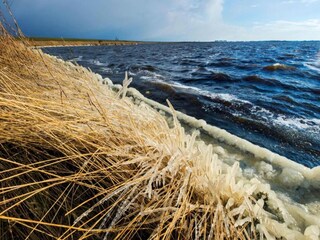 Casa de vacaciones Oostmahorn Entorno 28