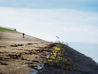 Holiday house Oostmahorn Environment 25