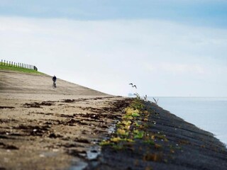 Maison de vacances Oostmahorn Environnement 29