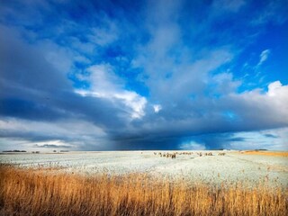 Vakantiehuis Oostmahorn Omgeving 38