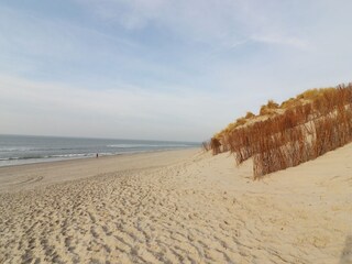 Vakantiehuis Hollum Omgeving 23