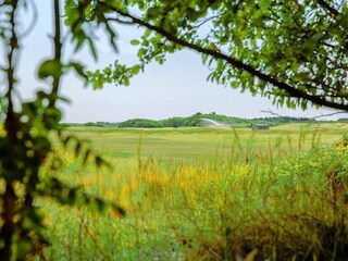 Vakantiehuis Hollum Omgeving 23