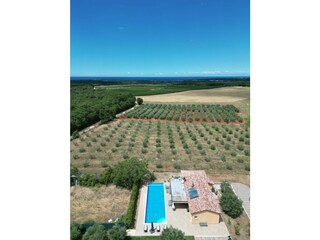 Bird eye view