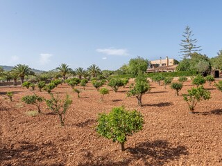 Villa Cala Murada Outdoor Recording 13