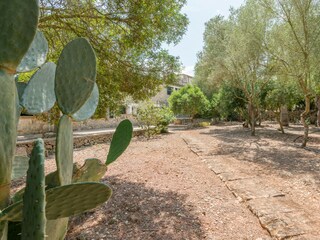 Villa Manacor Buitenaudio-opname 5