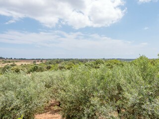 Casa per le vacanze Son Carrió Ambiente 28