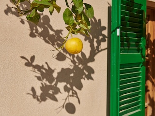 Casa vacanze Son Macià Ambiente 48