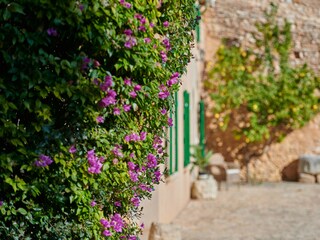 Casa vacanze Son Macià Ambiente 49