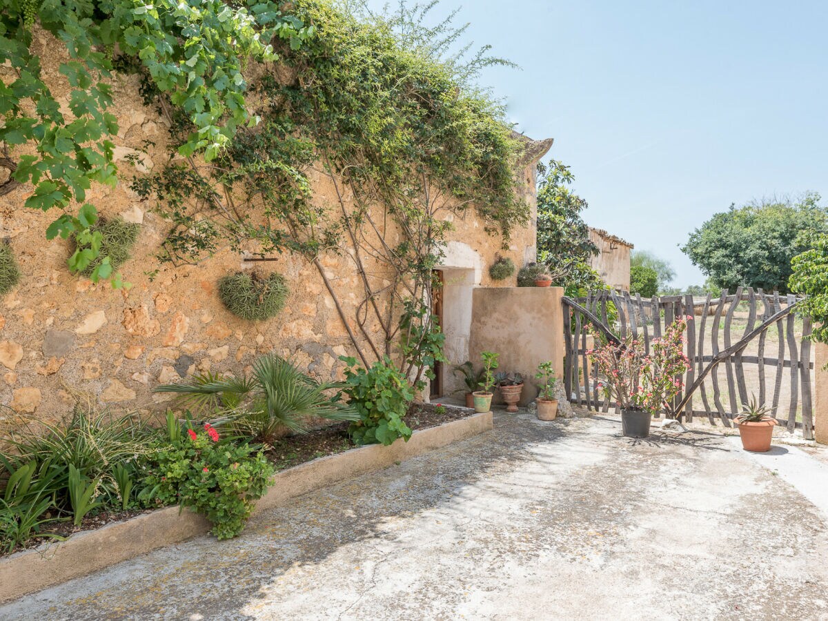 Ferienhaus Vilafranca de Bonany Außenaufnahme 19