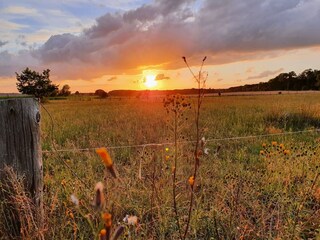 Abendstimmung