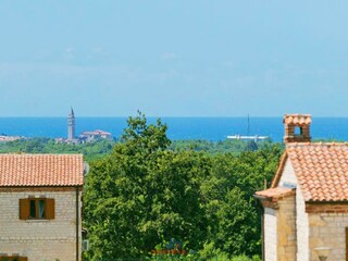 Villa Svetvinčenat Caratteristiche 13