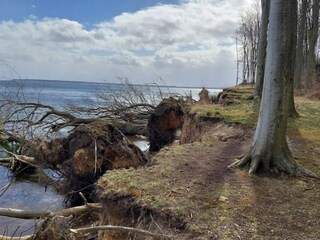 Vakantiehuis Juelsminde  29