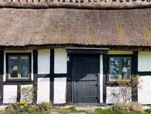 6 Personen Ferienhaus in DEGEBERGA - Degeberga - image1