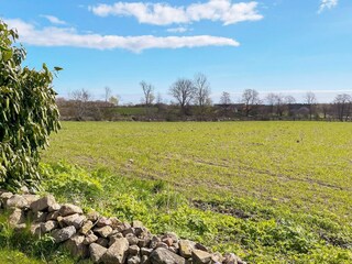 Ferienhaus Degeberga Außenaufnahme 3