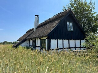 Holiday house Degeberga Outdoor Recording 5