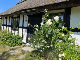 Holiday house Degeberga Outdoor Recording 2