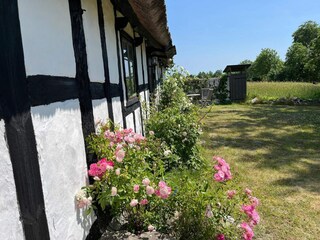 Ferienhaus Degeberga Außenaufnahme 7