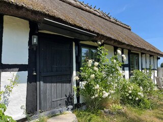 Ferienhaus Degeberga Außenaufnahme 4