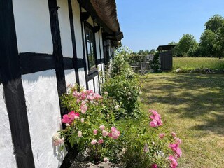 Casa de vacaciones Degeberga Grabación al aire libre 11