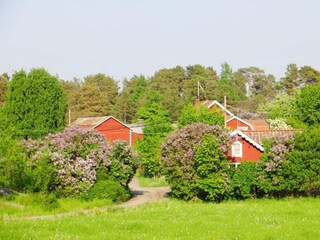 Vakantiehuis Vättersö  10