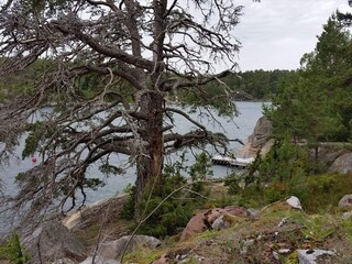 Vakantiehuis Vättersö  24