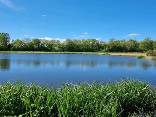 Ferienhaus Skarrild  18