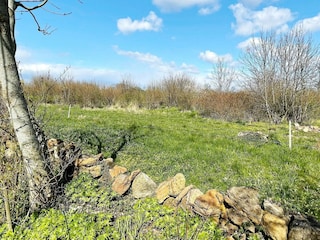 Ferienhaus Borgholm Außenaufnahme 2