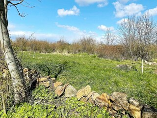 Vakantiehuis Borgholm Buitenaudio-opname 7