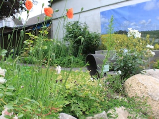 Blühender Friesenwall