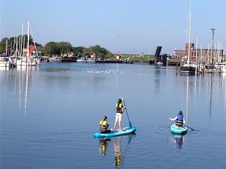 Stand-Up-Paddeling auf der Harle